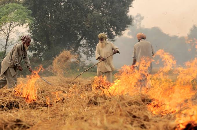 parali fire