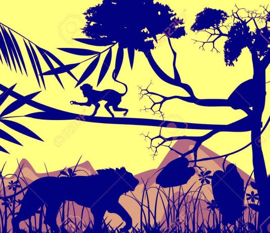 Jungle book story_…जब बंदर बना जंगल का राजा monkey vs lion (1)